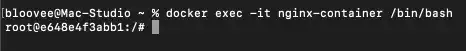 docker exec -it command in CLI