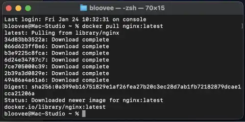 Pulling Nginx Docker Image