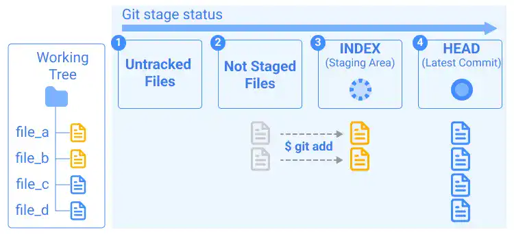 git status visual explanations: Case 5