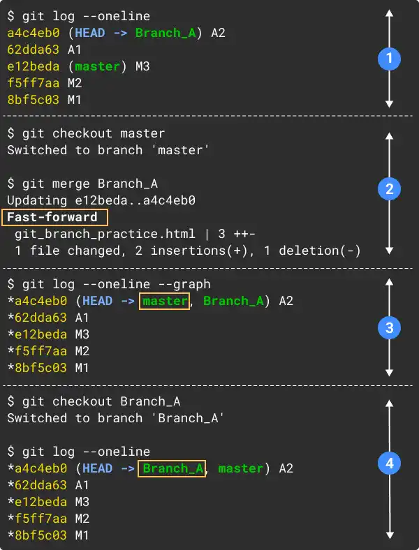 Fast-forward Merge Command Line Example