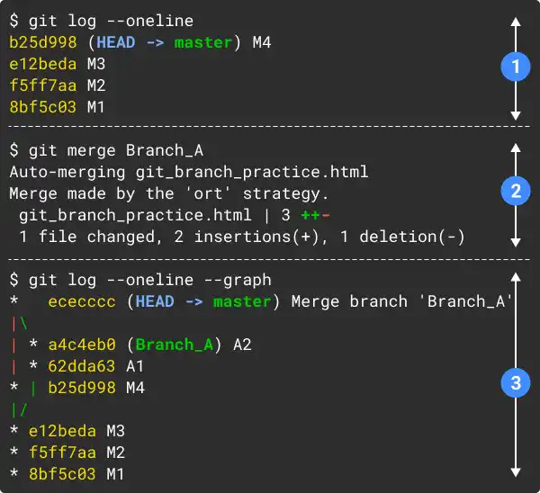 Non-Fast-forward Merge (no option) Command Line Example